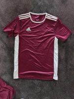 Adidas Sport Shirt Gr S Nordrhein-Westfalen - Dorsten Vorschau