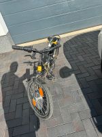Fahrrad Falter zu verkaufen 20 zoll Niedersachsen - Rötgesbüttel Vorschau