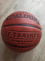 Spalding TF-Trainer Basketball Baden-Württemberg - Göppingen Vorschau