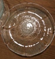 4 Glasteller Durchmesser ca. 19,5cm wie neu Bayern - Lauf a.d. Pegnitz Vorschau