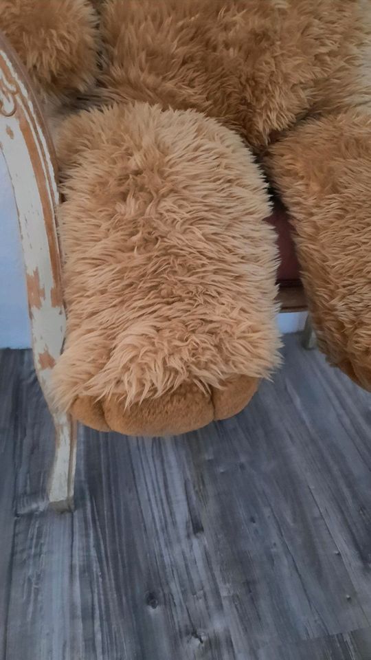 Großer Teddybär braun ca.90 cm kuschelig in Essen