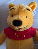 Großer Winnie Pooh Bär ca. 65 cm NEU Fisher Price Stuttgart - Stuttgart-Süd Vorschau