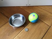 Ball und Napf für kleine Hunde Berlin - Charlottenburg Vorschau