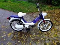 Honda Camino variomatic Sport Custom GESUCHT Nordrhein-Westfalen - Straelen Vorschau