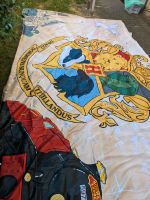 Harry Potter Stoff Banner 540x290 Leuchtreklame Bielefeld - Bielefeld (Innenstadt) Vorschau