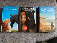 Ostwind Bücher neu Baden-Württemberg - Ofterdingen Vorschau