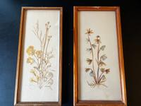 DDR 2 Wandbilder trockene Blumen PGH Raumschmuck Herbarium Sachsen - Neumark Vorschau