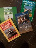 Verschiedene Westernreitbücher Schleswig-Holstein - Klein Wesenberg Vorschau