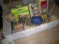 Rund um sorglos Paket Hamster, Maus Starterset Sachsen-Anhalt - Halle Vorschau