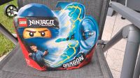 Lego Ninjago Jay Dragon Masters 70646 Nordrhein-Westfalen - Krefeld Vorschau