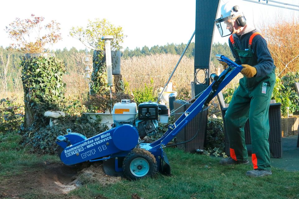 Baumfräsen Vermietung nähe Pulheim in Pulheim