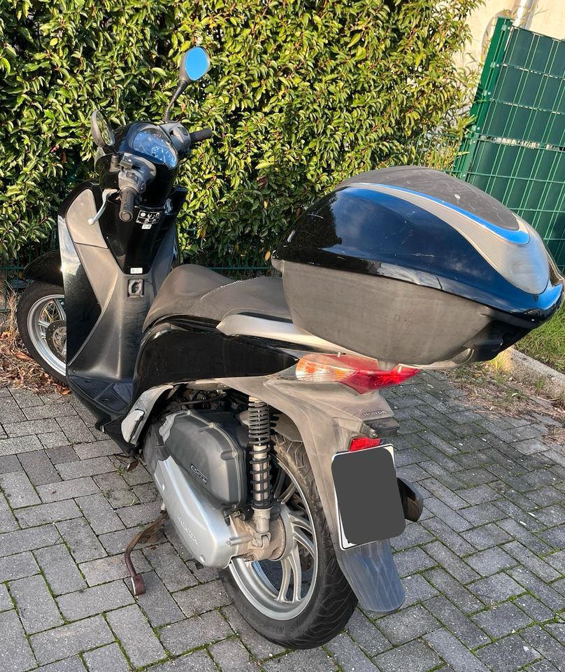 Honda SH 150 in Düsseldorf