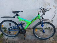 Fischer Erwachsenen-/Jugendfahrrad Mountainbike 26 Zoll grün blau Baden-Württemberg - Kirchberg an der Iller Vorschau