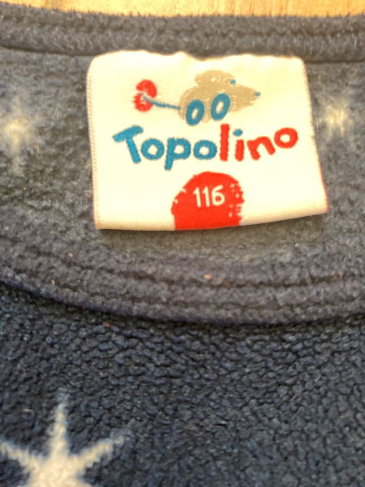 Kleiderpaket Gr. 116 Sweatshirt Kleid Bluse Topolino C&A blau rot in Leipzig