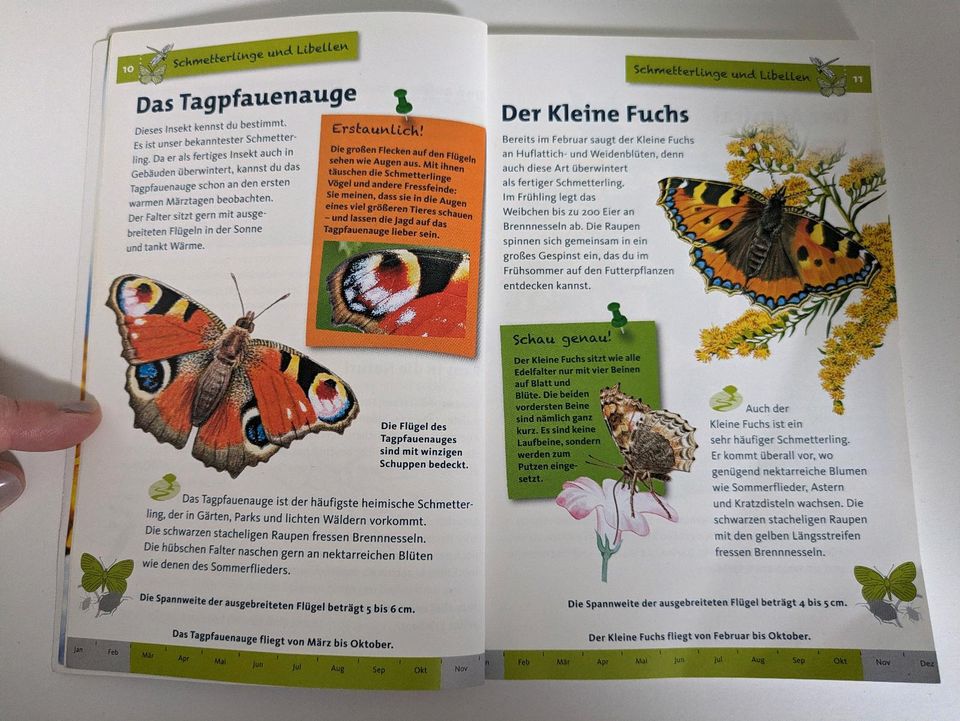 Buch Kinderwissen Tiere in Gräfenroda