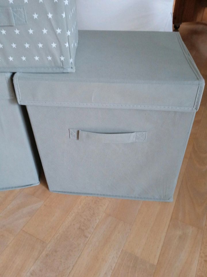 Faltboxen grau/ Sternchen in Lörrach