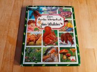 Dein buntes Wörterbuch des Waldes - Kinderbuch, Natur, Tiere Pankow - Prenzlauer Berg Vorschau