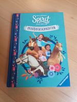 Spirit Buch Freunde für immer Pferdegeschichten sehr gut erhalten Baden-Württemberg - Denzlingen Vorschau