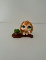 Littlest Pet Shop Hase Kaninchen #864 Spielfigur Sammelfigur Lps Hessen - Hanau Vorschau