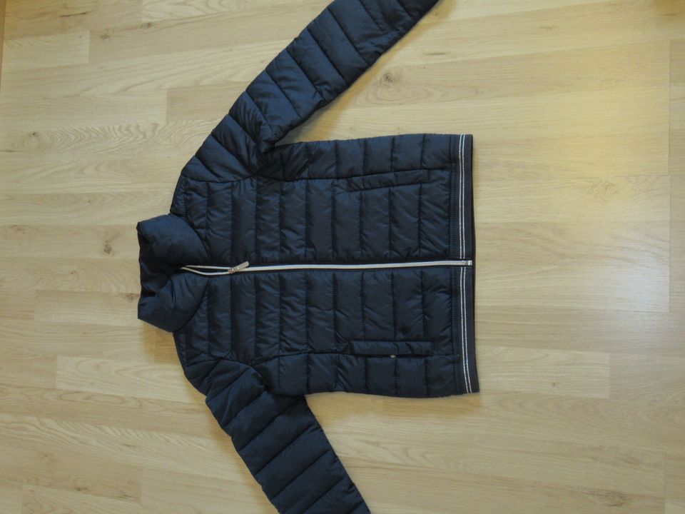 Steppjacke Jacke Softshelljacke Gr. 152 M s.Oliver Jack Wolfskin in Bielefeld