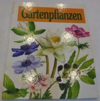 Gartenpflanzen Buch Bücher Sachbuch Berlin - Zehlendorf Vorschau