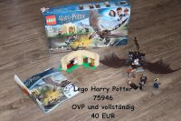 Lego Harry Potter 75946 Drache OVP Brandenburg - Zehdenick Vorschau