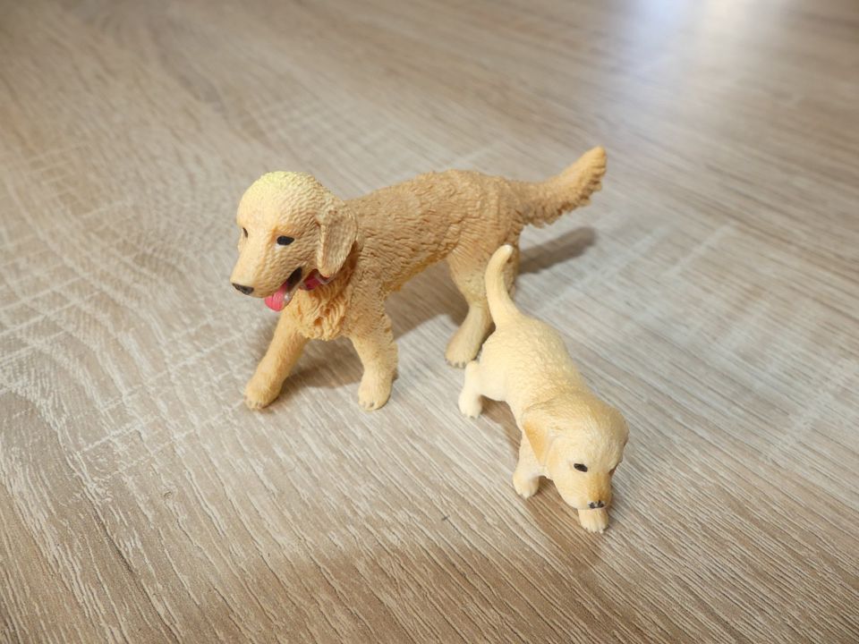 Schleich Tiere Golden Retriever in Hermsdorf