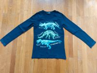 Langarmshirt Sweatshirt Junge Dinosaurier Größe 134/140 H&M Saarland - Blieskastel Vorschau