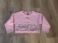 Neuwertig Puma Sport Sweatshirt rose Grösse 110 Niedersachsen - Bendestorf Vorschau