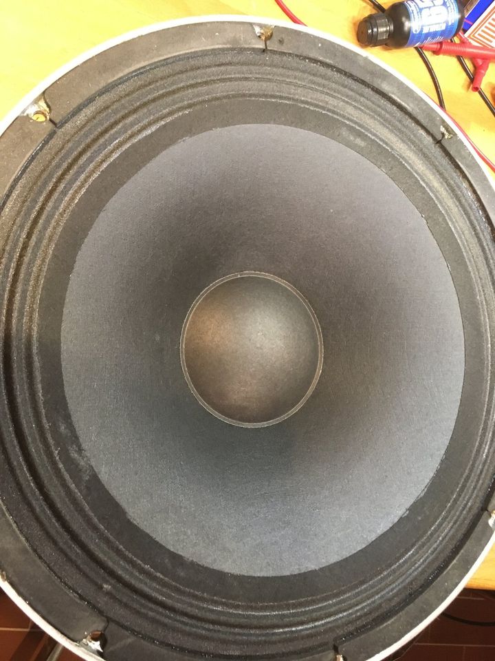 15" Speaker, 150W, 8 Ohm Lautsprecher aus Pignose Bassamp in Flensburg