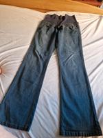 Umstandsjeans Mama Licious Baden-Württemberg - Ludwigsburg Vorschau