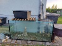 Aquarium 800 Liter Bayern - Illertissen Vorschau