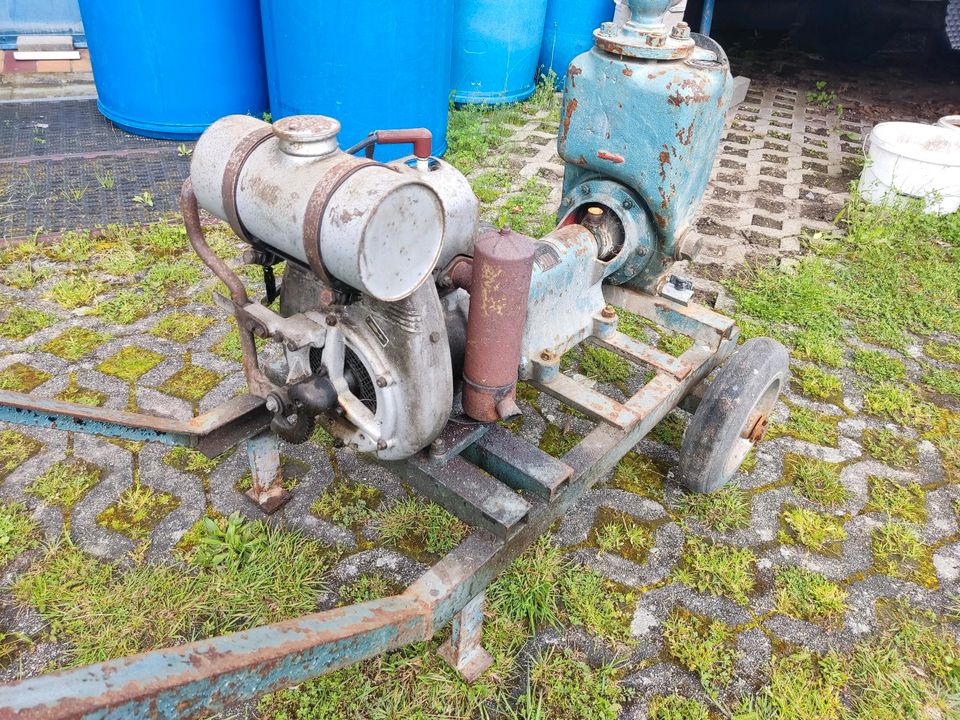 Wasserpumpe mit Fichtel und Sachs Motor in St. Blasien