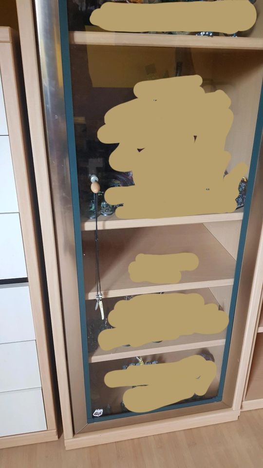 Regalsystem Vitrine Schrankwand Wohnzimmer Büro Jugendzimmer in Alsbach-Hähnlein