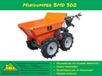 Minidumper Dumper BMD 300 zur Miete Lescha Mieten Verleih Leihen Verleihen Vermieten Baumaschinenverleih Bayern - Rednitzhembach Vorschau