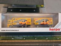 Herpa MAN F2000 Evo Henglein Kühlkoffer-Hzg. PC Hessen - Wolfhagen  Vorschau