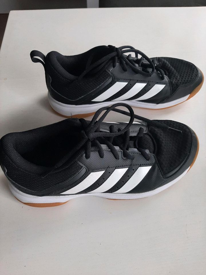 Adidas Turnschuhe Ligra - Gr. 42 in Ober-Ramstadt