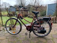 Holland Benzin Fahrrad antik,org. Papiere, Sachs, Saxonette, Schleswig-Holstein - Ahrensburg Vorschau