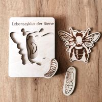Montessori Holzpuzzle ab 2 Jahre Lebenszyklus Biene Brandenburg - Fürstenwalde (Spree) Vorschau