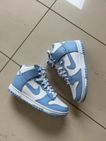 Nike Dunk hoch Aluminium (Damen) high Bayern - Würzburg Vorschau