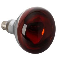 Infrarotlampe 150 Watt, Hartglas Infrarotbirne Wärmelampe Glühbirne rot für Kleintiere und Nutztiere Nordfriesland - Viöl Vorschau