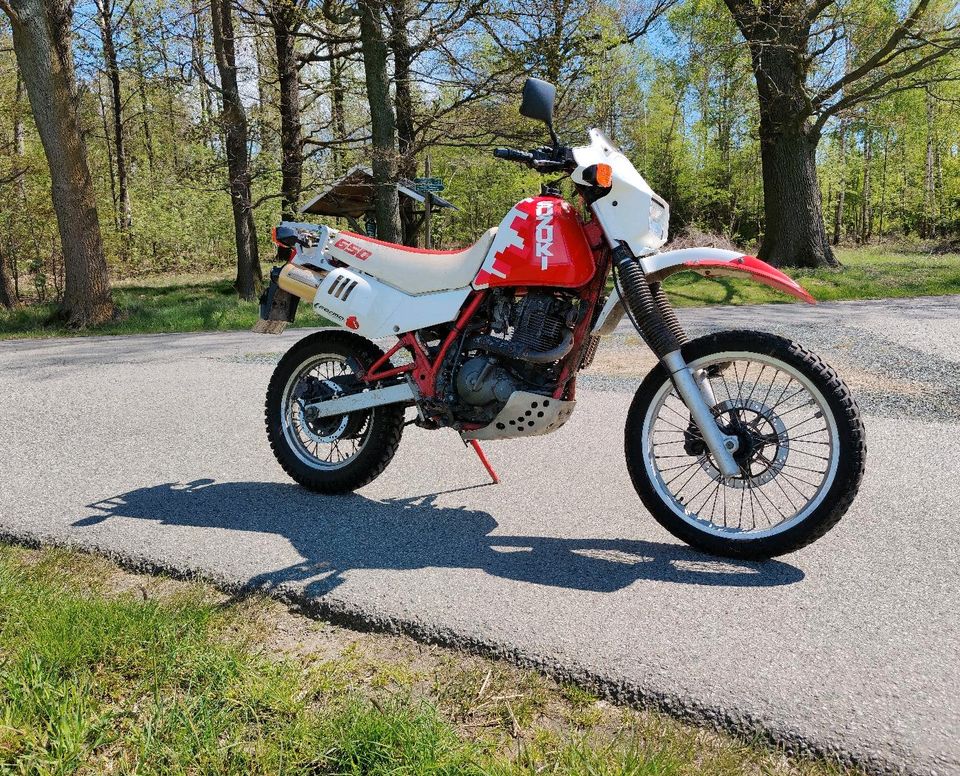 Suzuki DR 650 R Enduro in Tharandt