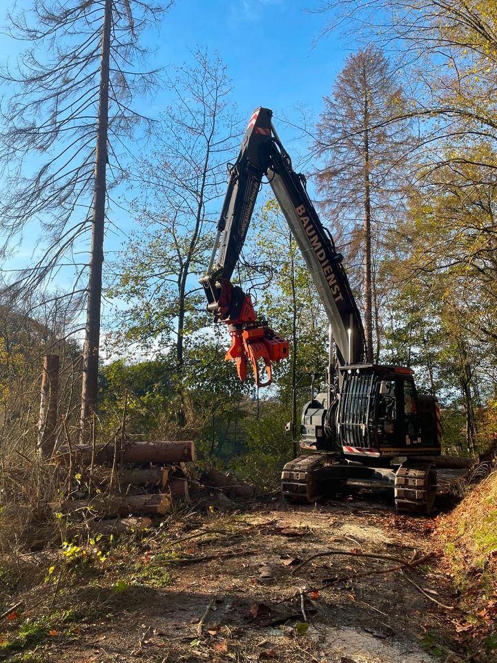 Hitachi ZX225 USLC-5B Fällbagger Westtech woodcracker CS 580 S in Remscheid