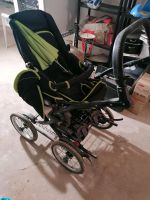 Kinderwagen 3 in 1 Buggy Trageschale Thüringen - Gerstungen Vorschau