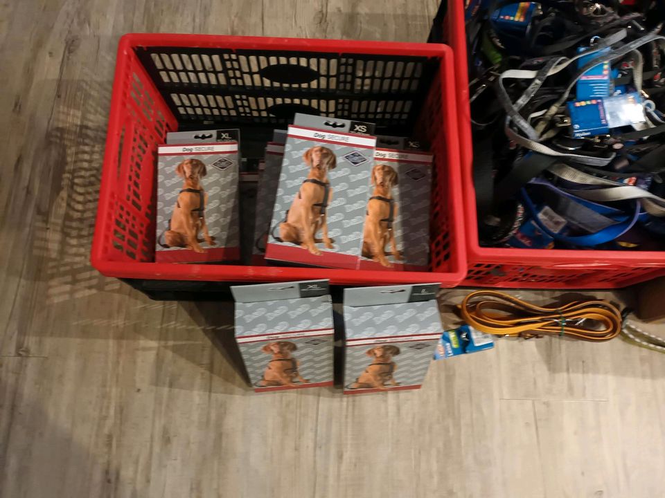 Neu! 135 x Hundezubehör Restposten Geschäftsauflösung Flohmarkt in Kassel