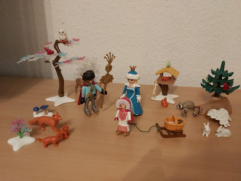 Playmobil Winterzauber im Wald mit Tieren in Sachsen-Anhalt - Elbe-Parey |  Playmobil günstig kaufen, gebraucht oder neu | eBay Kleinanzeigen ist jetzt  Kleinanzeigen