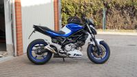 Suzuki Gladius SFV650A Schleswig-Holstein - Gremersdorf Vorschau