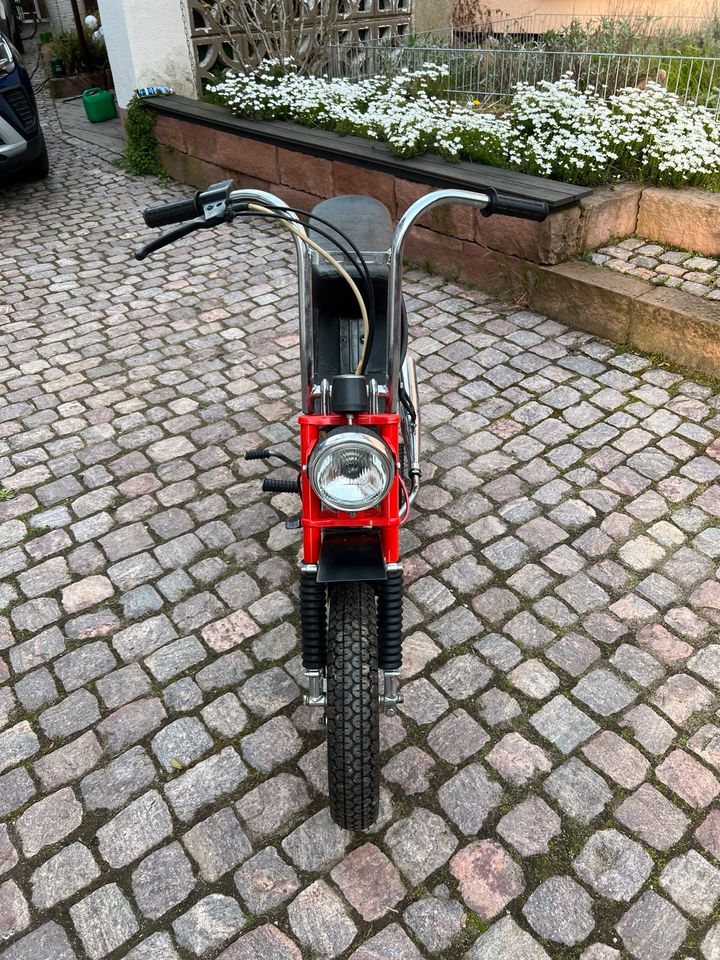 Riga Stella Restauriert Jawa Babetta Moped Mokick Mofa in Babenhausen