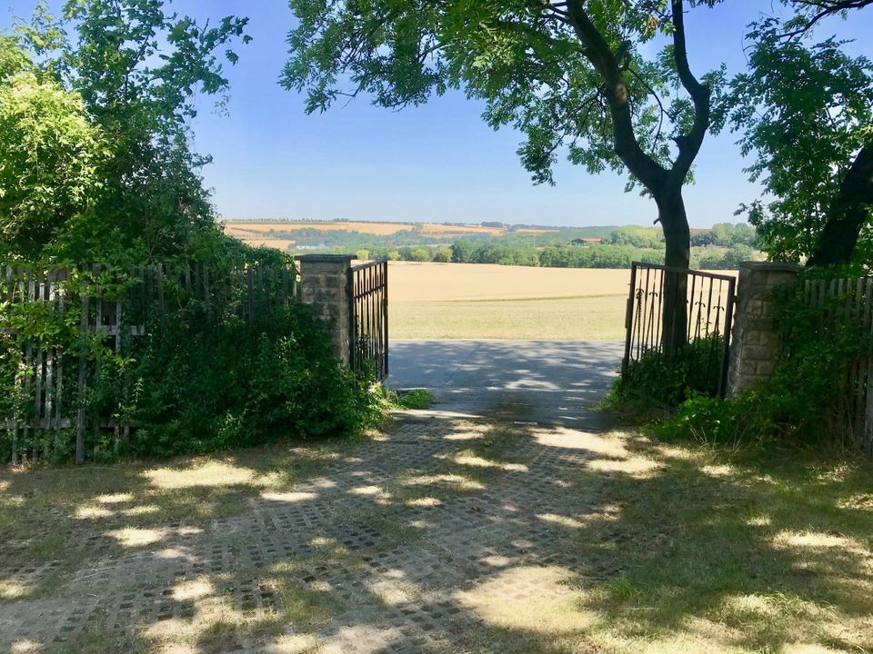 Natur pur - Idyllisches Gartengrundstück inkl. Ferienhaus in Camburg