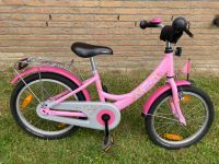 Puky 18 Zoll Kinderfahrrad Lillifee rosa Alu 18-1 Nordrhein-Westfalen - Detmold Vorschau